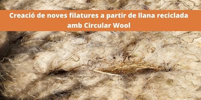 Creació de noves filatures a partir de llana reciclada amb Circular Wool